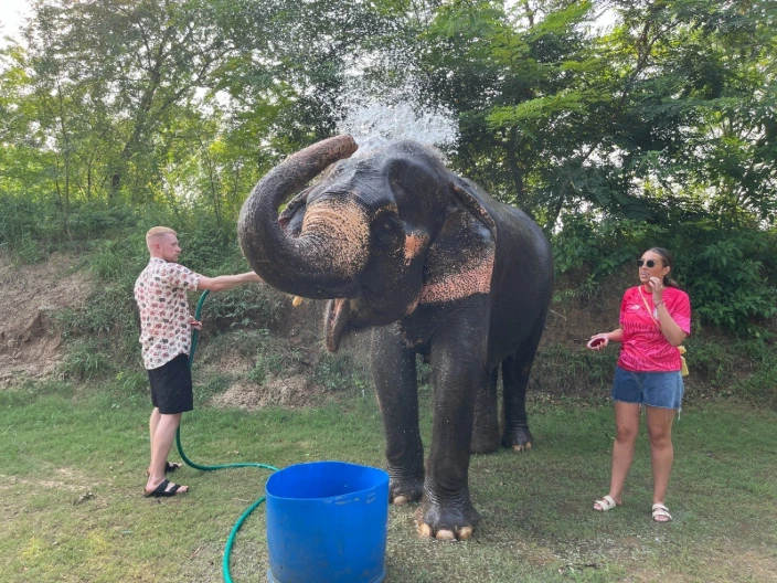 Elephant Experience