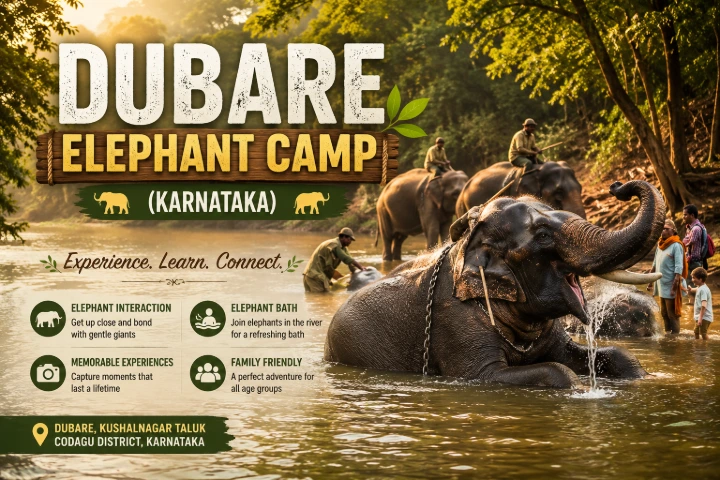 Dubare Elephant Camp (Karnataka) Dubare Elephant Camp (Karnataka)